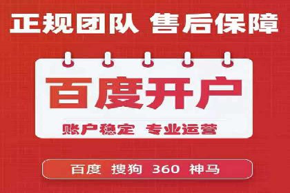 某某sem推广公司实战案例：精准投放提升转化率